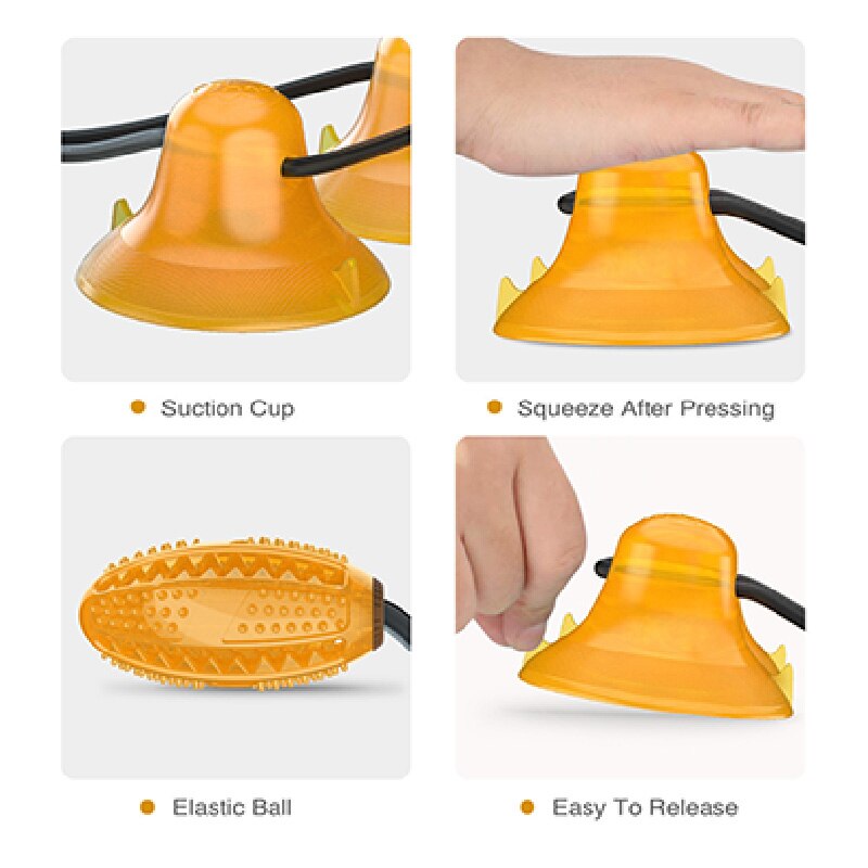 Giocattolo per Cani con Palla e Ventosa