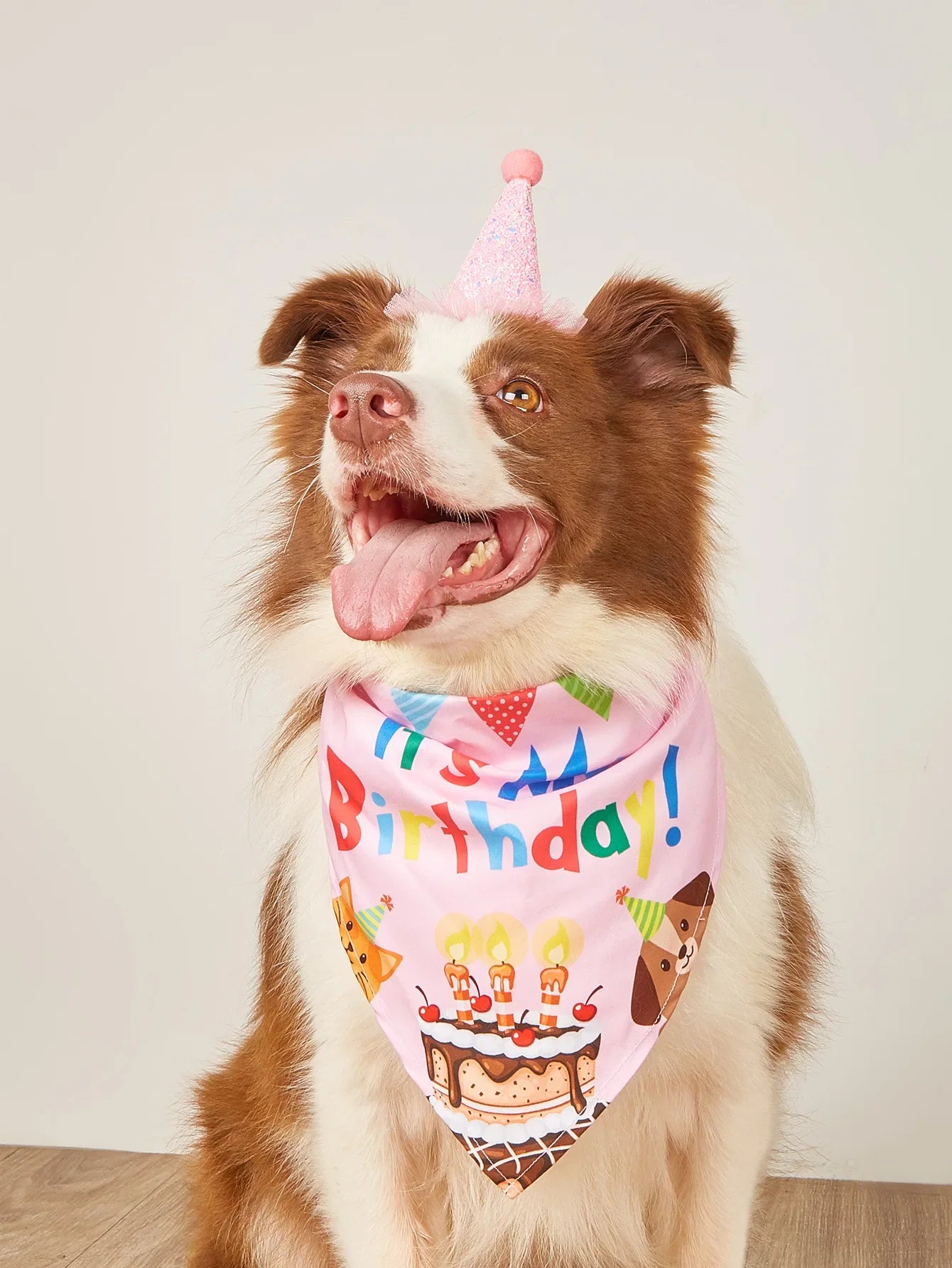 Vestito Compleanno Cane e Gatto