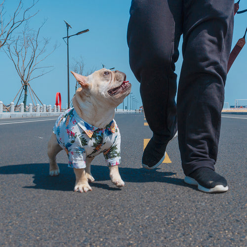 Camicia Floreale per Cane