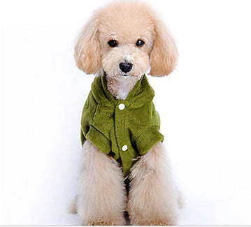 Costume a Tema Dinosauro