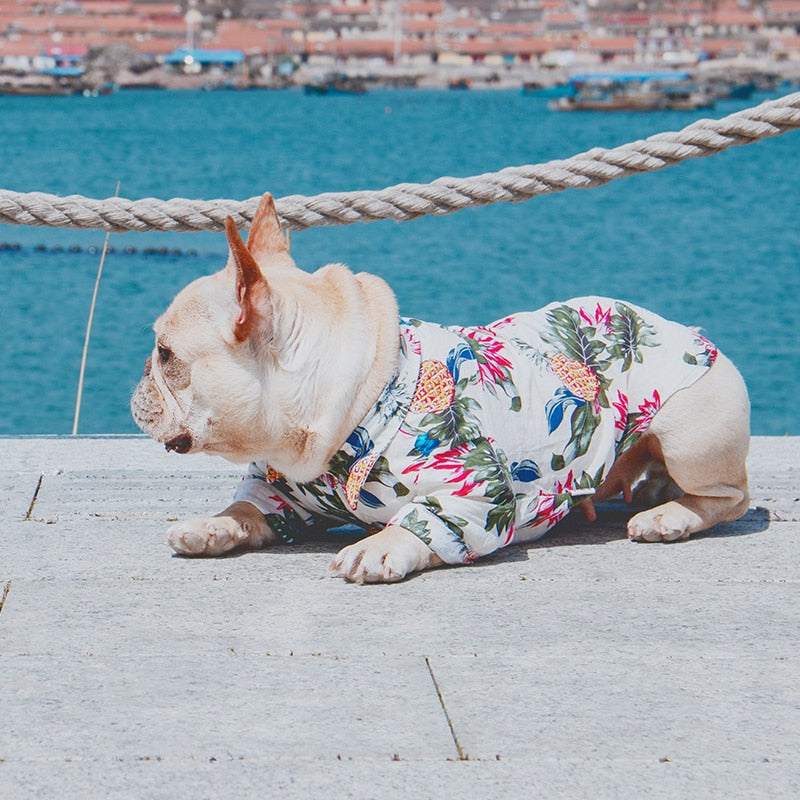 Camicia Floreale per Cane